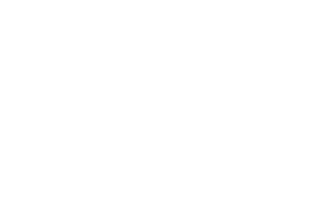 SNAP COMMERCE Logo